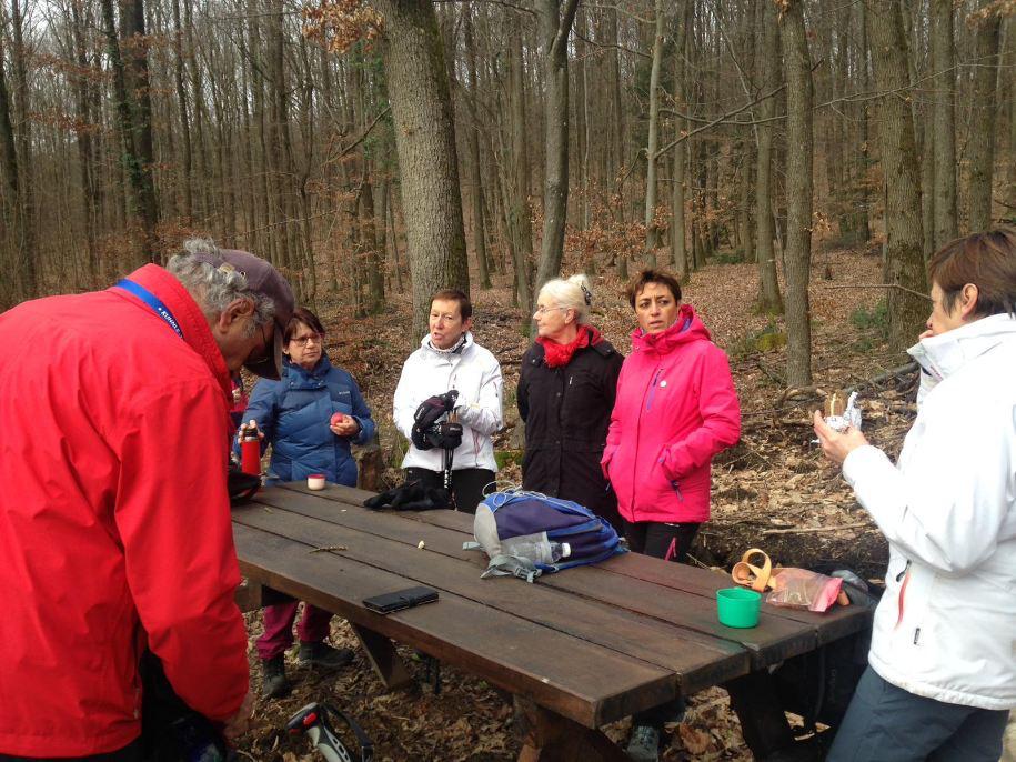 VTT + Marche - Preuschdorf