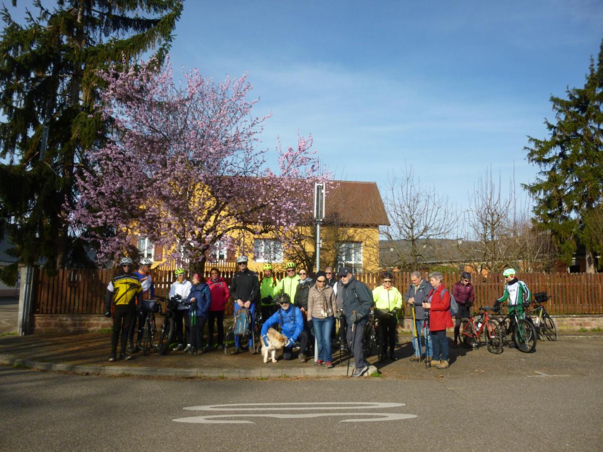 VTT + Marche - Marlenheim
